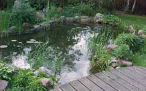tl_files/drewke/kat_img/TEICH9_DE.jpg